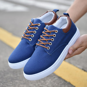 REETENE New Arrival Spring Summer Comfortable Casual Shoes Mens Canvas Shoes For Men Lace-Up Brand Fashion Flat Loafers Shoe