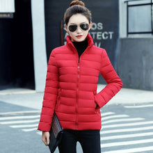 Load image into Gallery viewer, Women Winter Basic Jacket Stand Collar Solid Color Autumn Female Coat Outwear Ladies Casaco Feminina Inverno Free Shipping