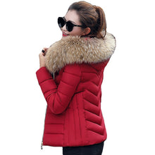 Load image into Gallery viewer, Female Coat Autumn With Fur Collar Hooded Cotton Padded Winter Jacket Women Short Outwear Basic Jacket