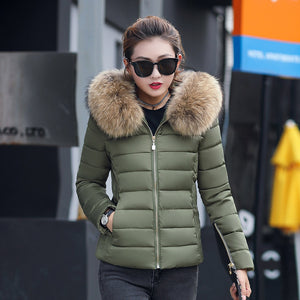 Female Coat Autumn With Fur Collar Hooded Cotton Padded Winter Jacket Women Short Outwear Basic Jacket