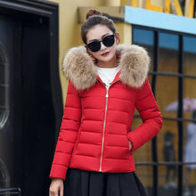 Load image into Gallery viewer, Female Coat Autumn With Fur Collar Hooded Cotton Padded Winter Jacket Women Short Outwear Basic Jacket