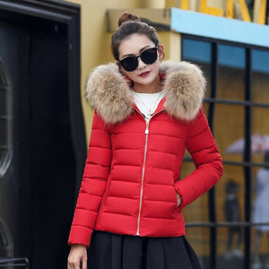 Female Coat Autumn With Fur Collar Hooded Cotton Padded Winter Jacket Women Short Outwear Basic Jacket