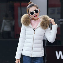 Load image into Gallery viewer, Female Coat Autumn With Fur Collar Hooded Cotton Padded Winter Jacket Women Short Outwear Basic Jacket