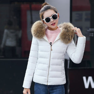 Female Coat Autumn With Fur Collar Hooded Cotton Padded Winter Jacket Women Short Outwear Basic Jacket